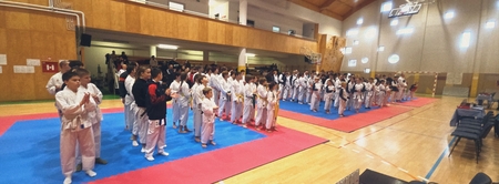 65x24_20251206_101218_cinematic